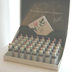 【2025年11月現在】バッチフラワーレメディ旧定価にて販売中！